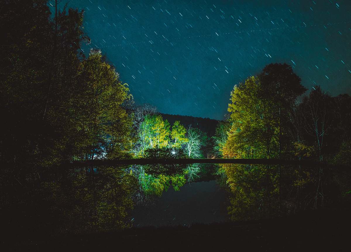 kinzua lake campgrounds landscape photography of trunk above river frewsburg